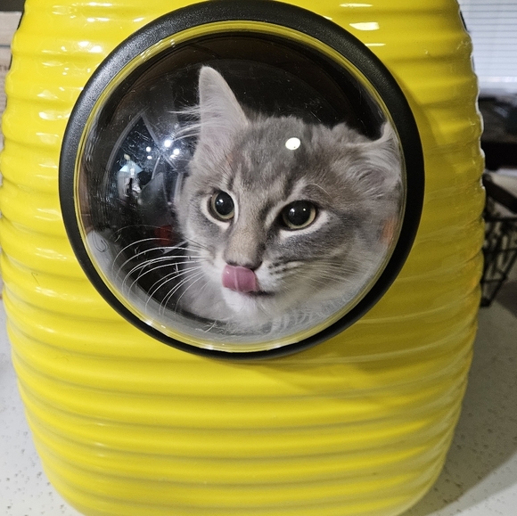 Cat backpack Astronaut/dome travel bag - Picture 9 of 9